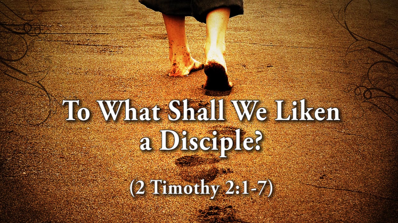 To What Shall We Liken a Disciple? (Steve Higginbotham)