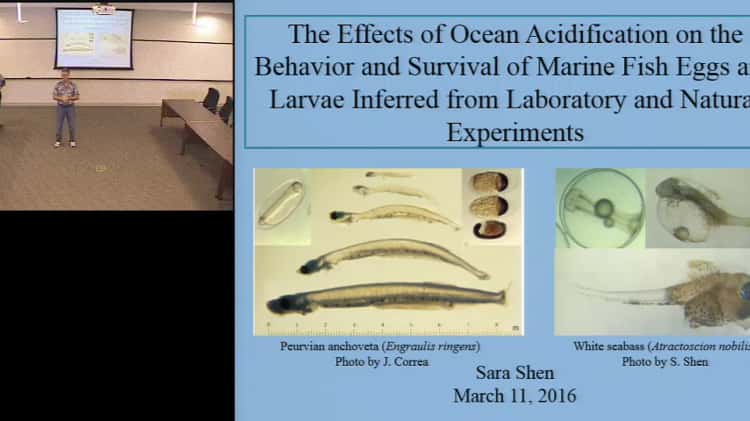 SCCWRP Seminar: Effects of ocean acidification on fish eggs and