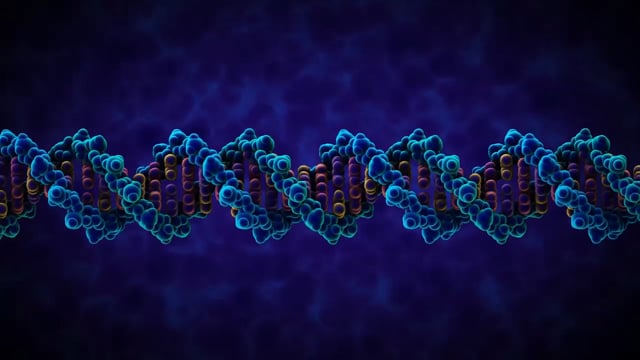 Structure of DNA