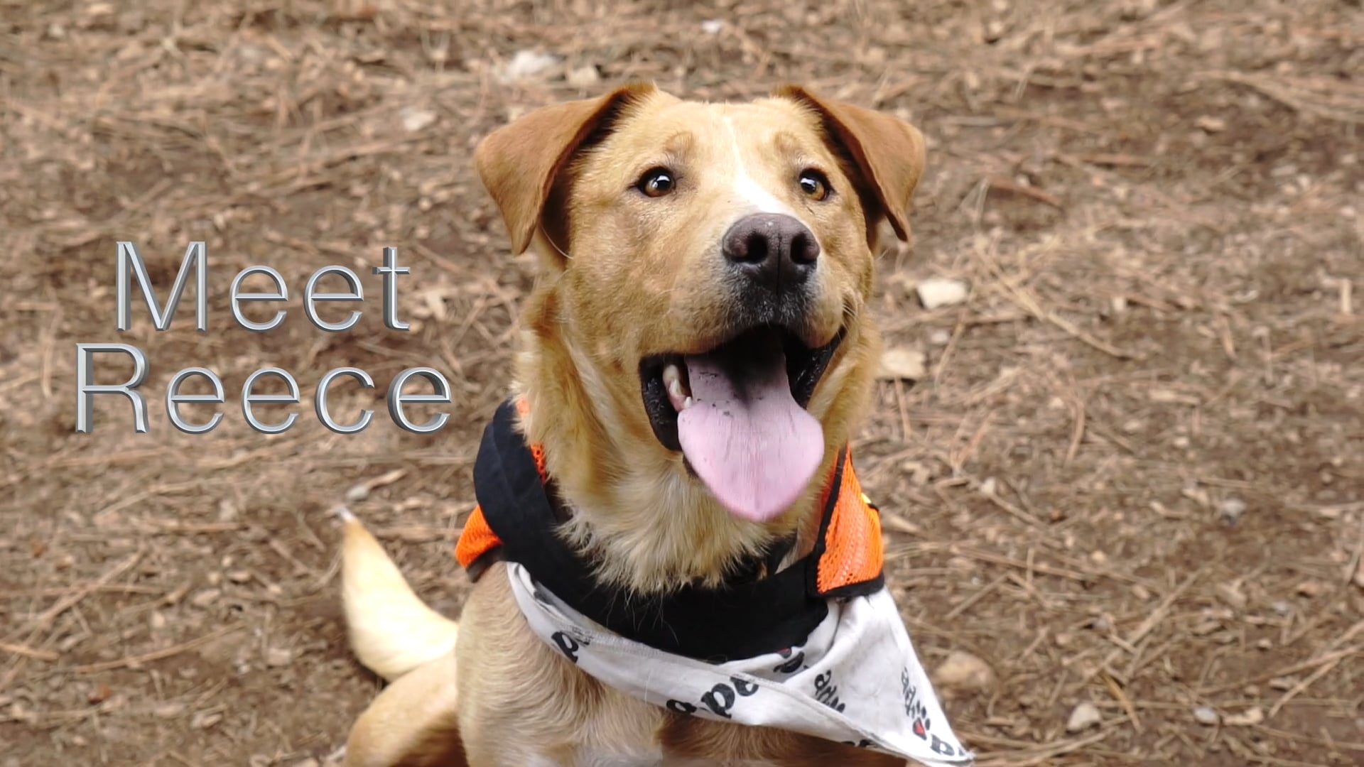 Meet Reece