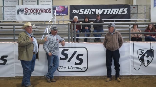 2016 Blackout 4 Steers