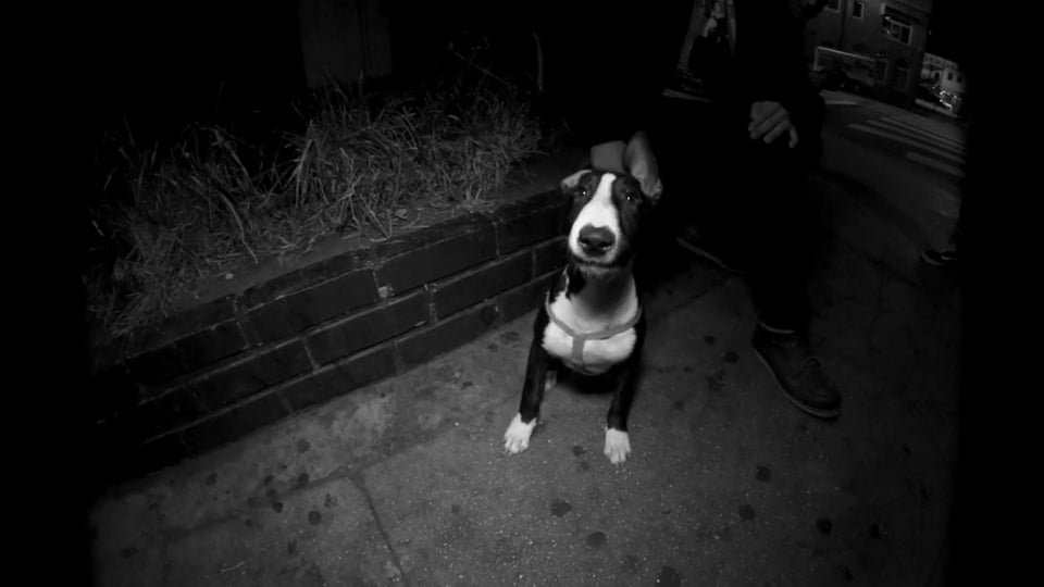 The Twenty Fifth Hour • TERROR • No Time for Fools • Official Music Video