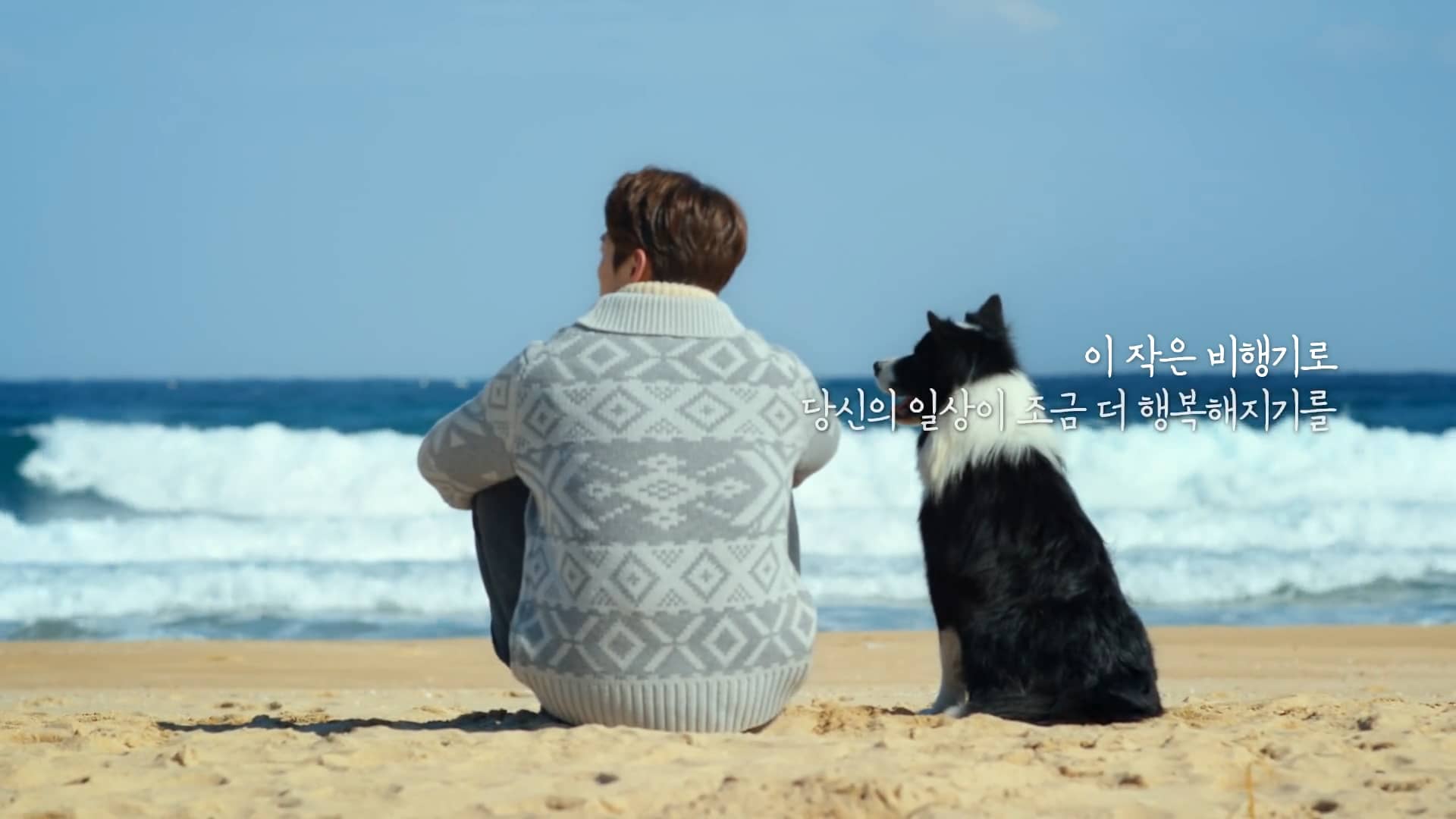 2016년 03월 / KOREAN AIR DOG on Vimeo
