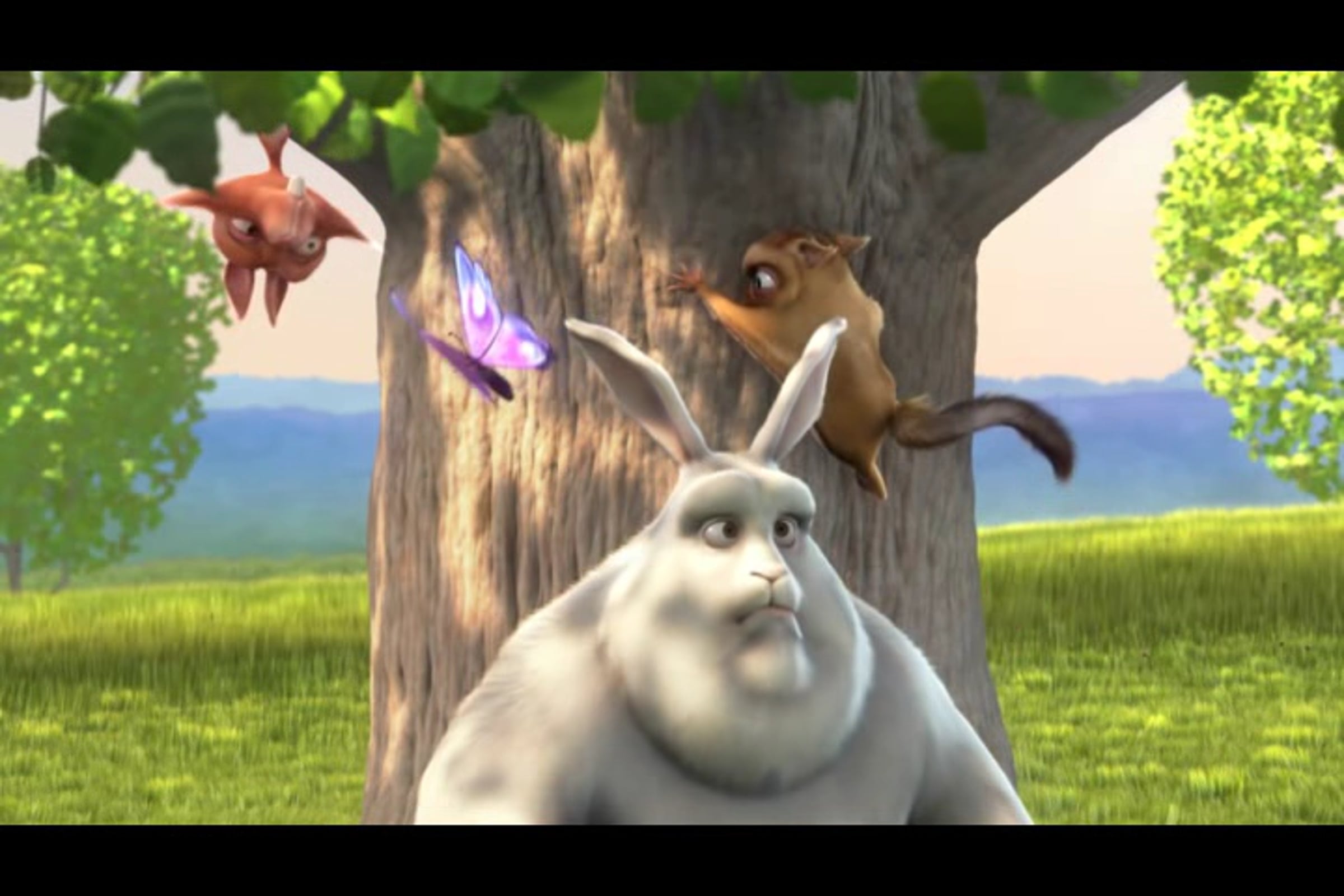 ghdfgh | Videos & Movies on Vimeo