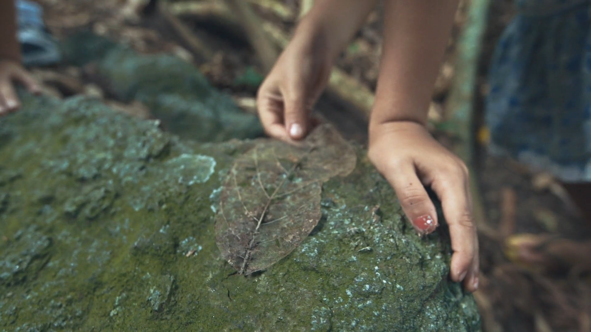 [CeN] Children and Nature - Playing with Nature in the City (English  Version)