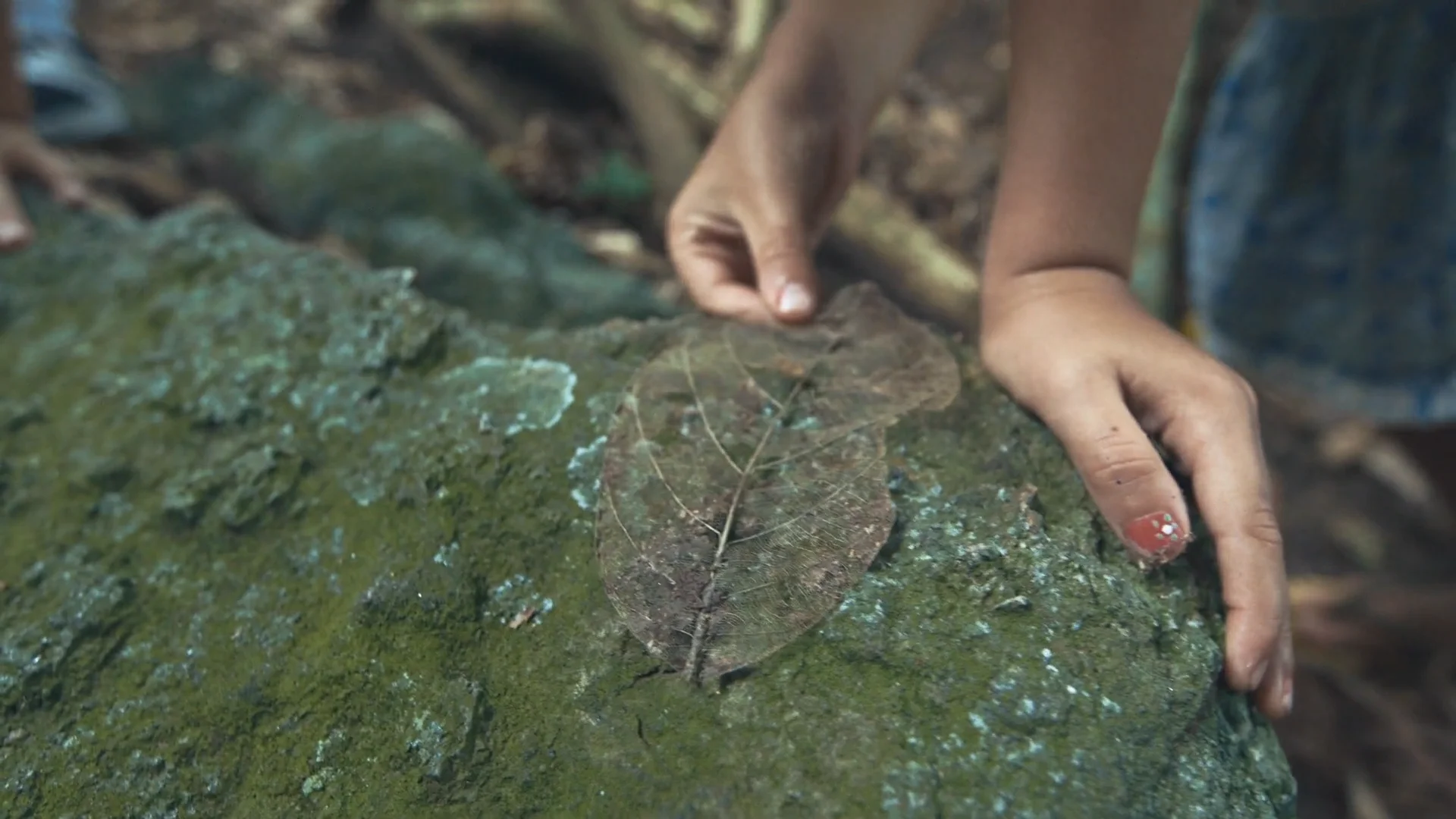 CeN] Criança e Natureza - MINI DOC - Renata Terra - Legendado em Inglês on  Vimeo