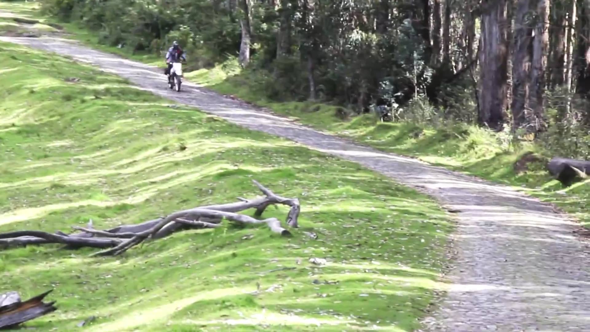 how-to-change-a-motorcycle-inner-tube-by-yourself-when-in-remote-areas