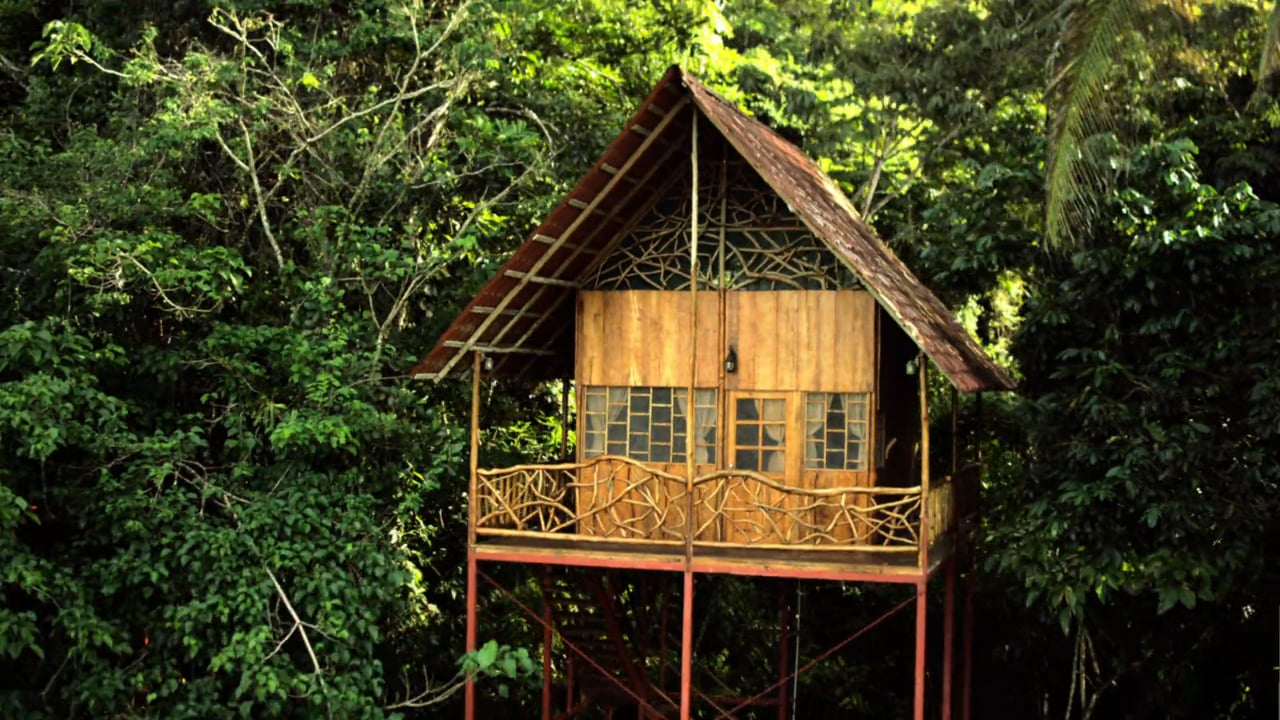 Airbnb Treehouse