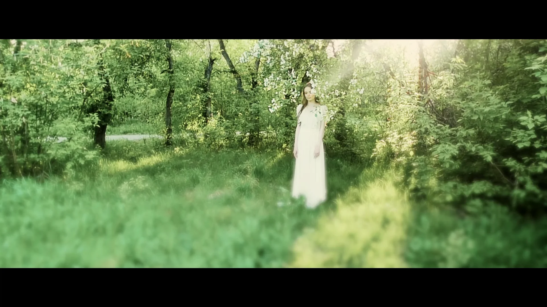 Spring on Vimeo