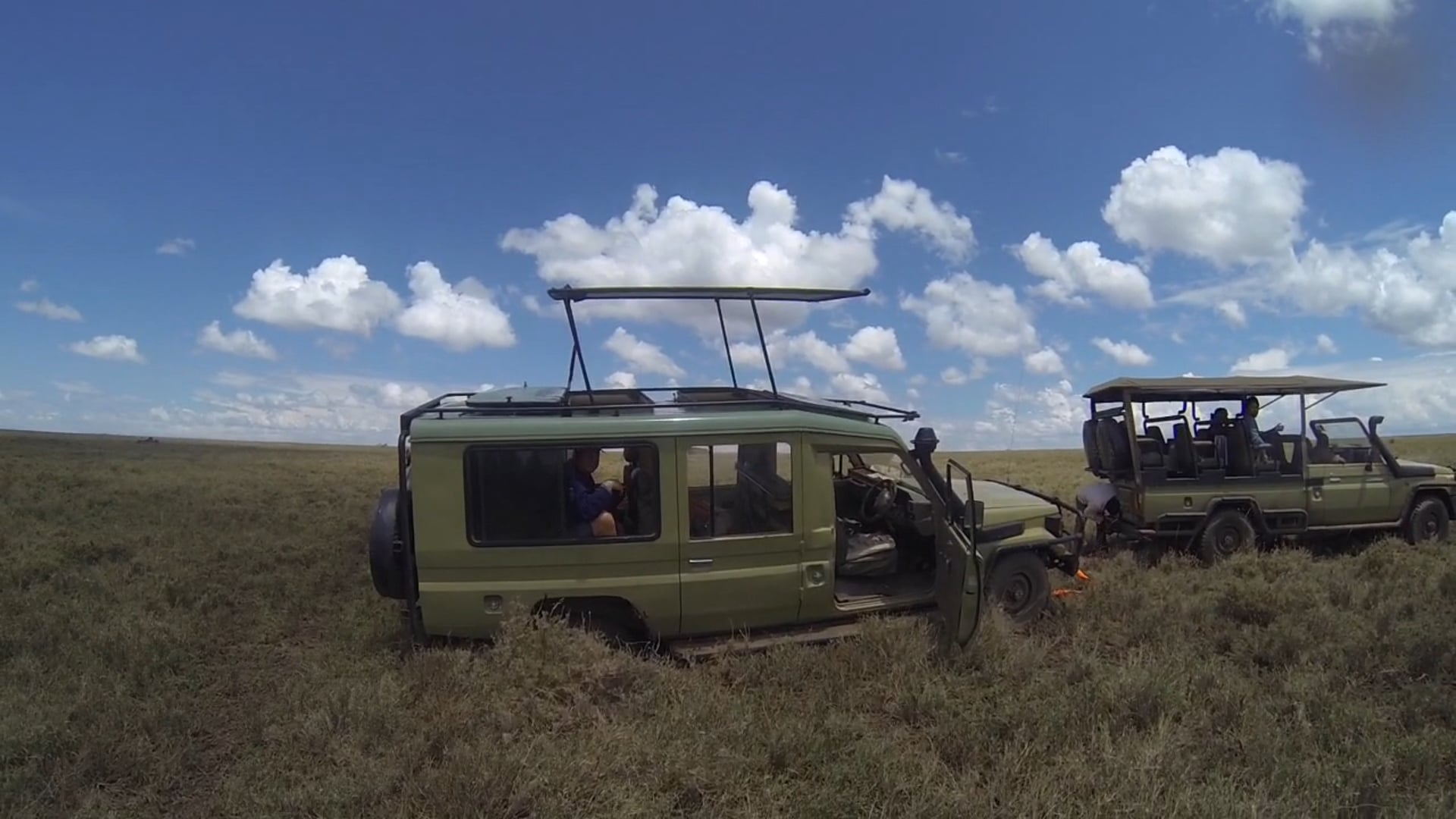 Serengeti Drives 2