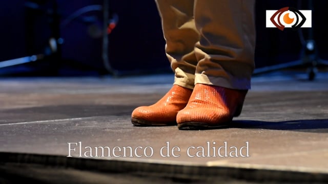 Cuadro flamenco en Madrid