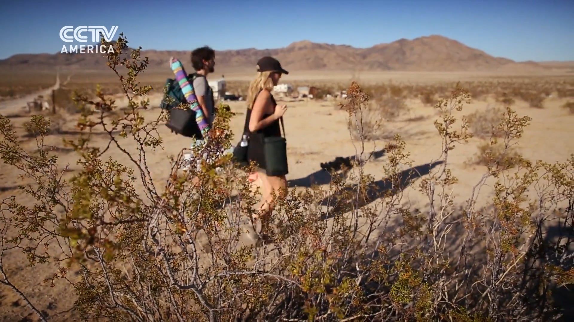 SOCIAL POOL - Full Frame Close Up