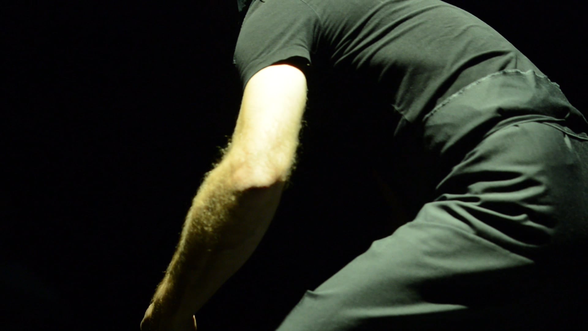 VOLATILE ( Captation et réalisation / Dominique Piollet )