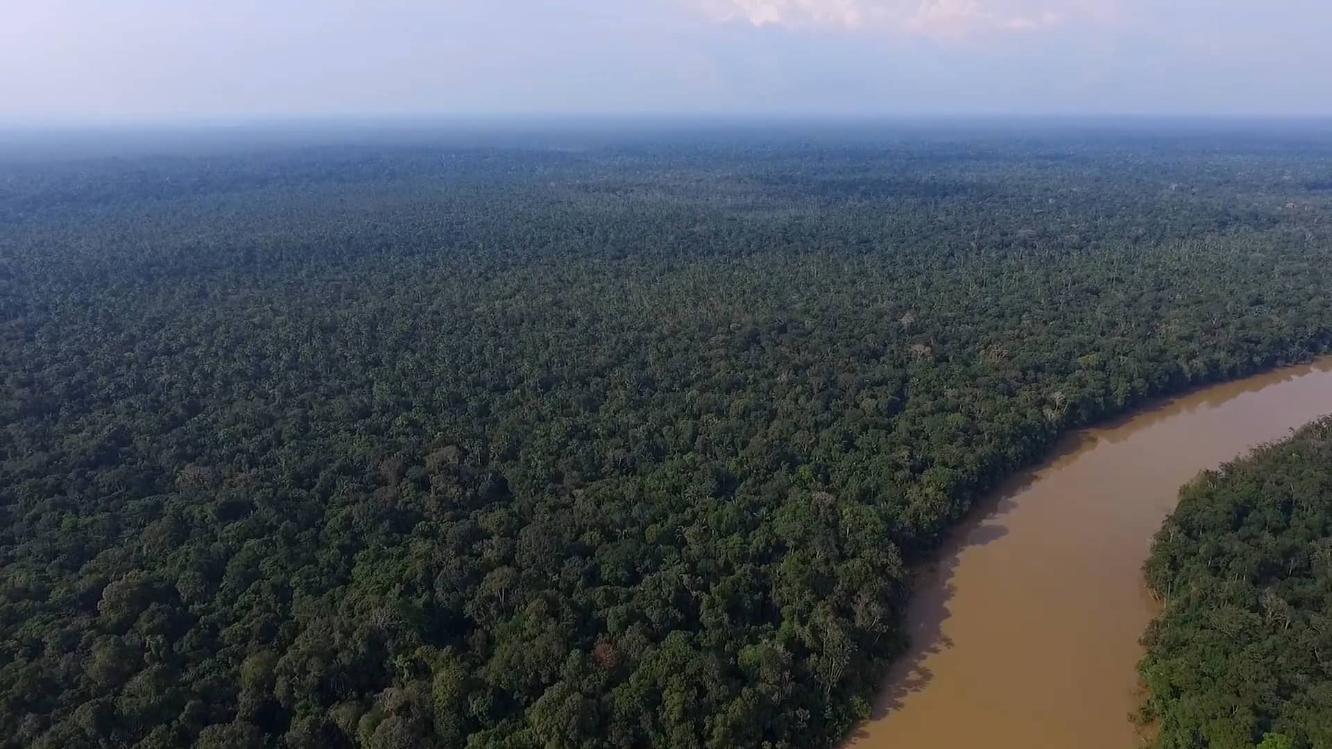 The Amazon Rainforest: A Drone’s Eye View on Vimeo