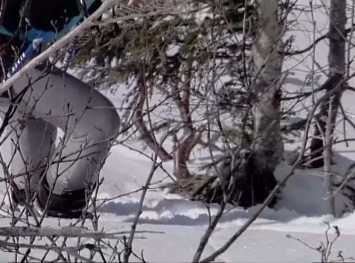 ANYP 207 Alps of the East Telemark Skiing in Quebec's Gaspe Peninsula