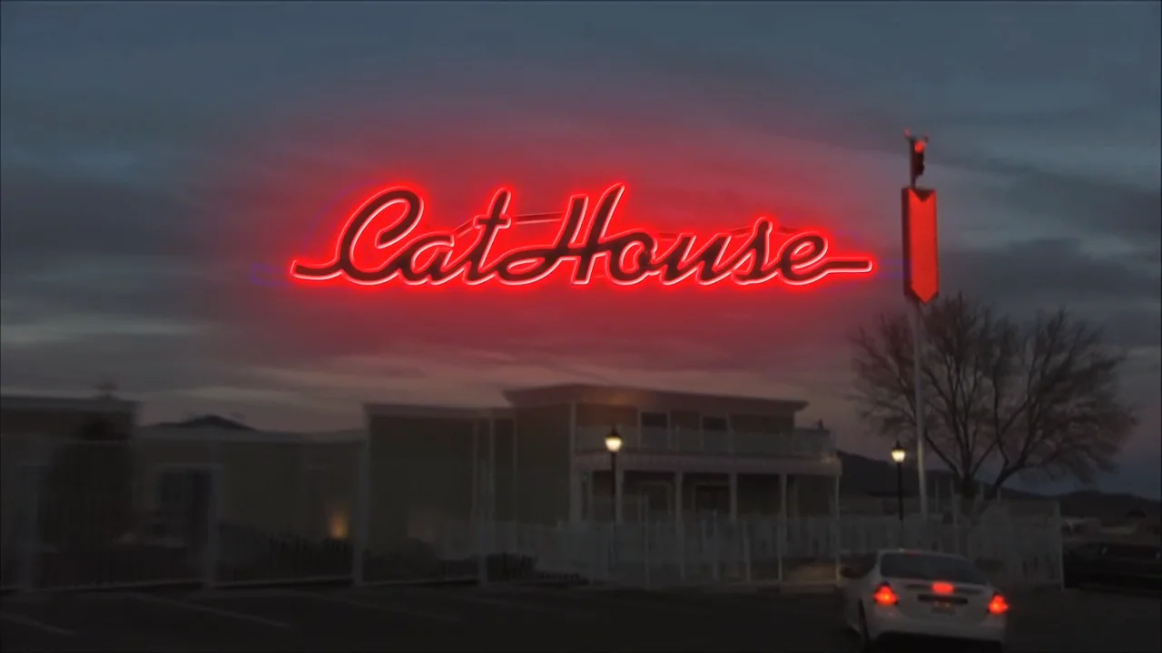 Cathouse watch online online