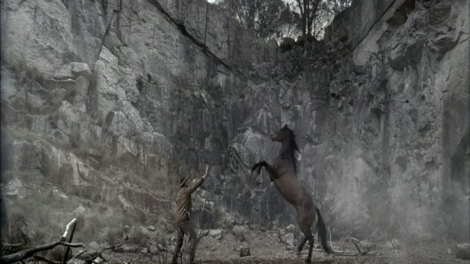 Tatra Beer 'Horse'