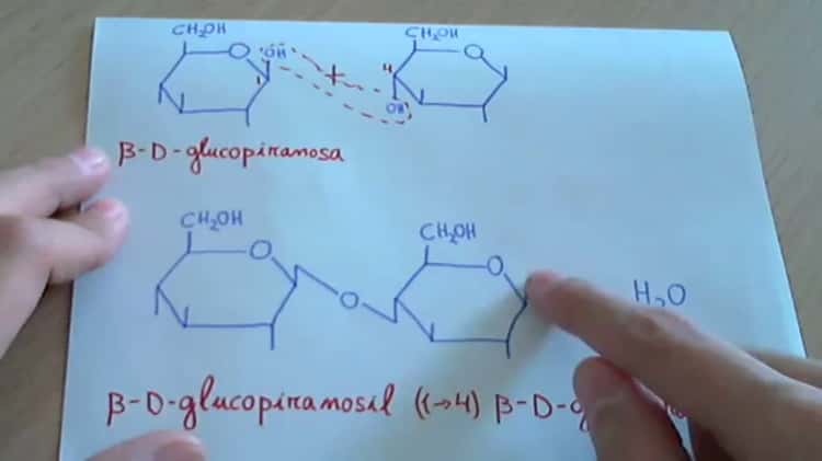 estructura de la celobiosa