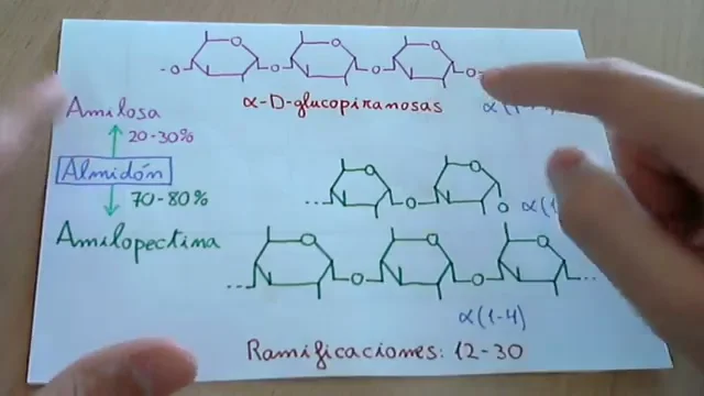 estructura del almidón amilosa y amilopectina