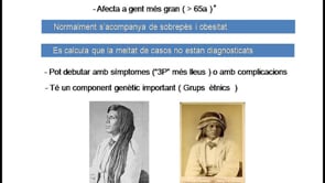 Conferències: Què es la diabetis