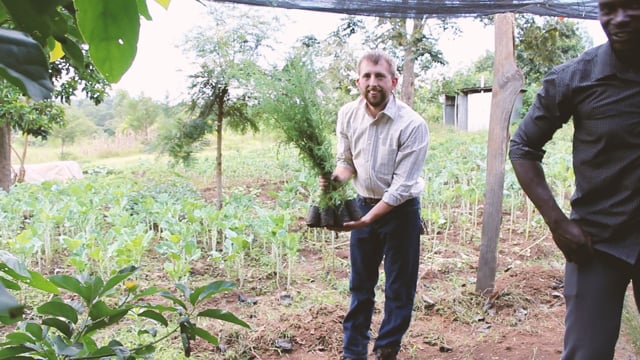 video image