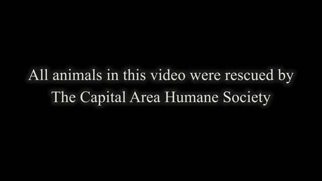 Capital Area Humane Society FINAL 040116