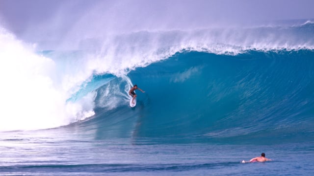 MENTAWAI BIRU from FTR Films