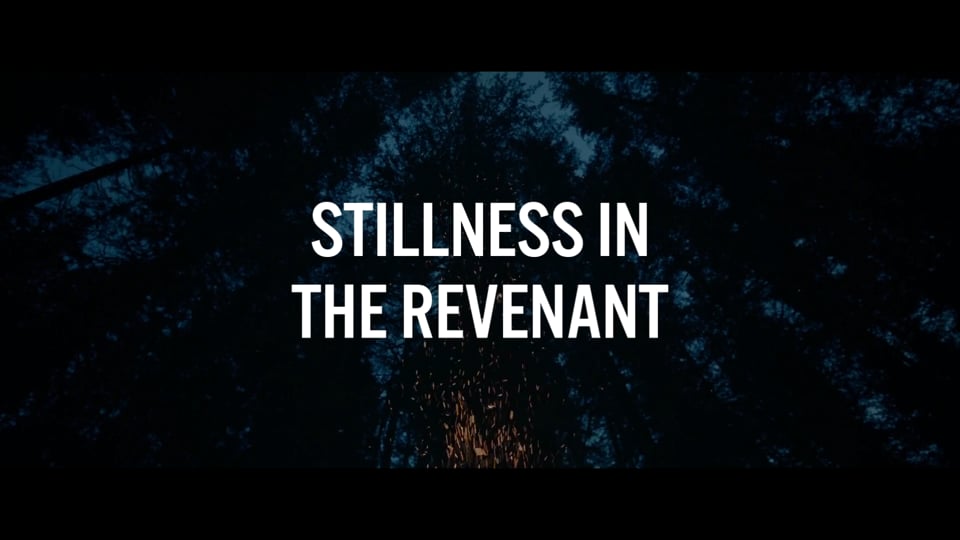 Stillness in The Revenant