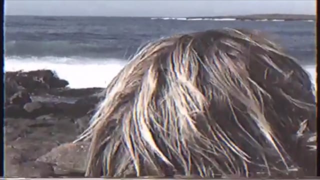 Ben is from Zions Media Club