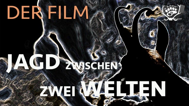 TRAILER: Die Jagd auf den König der Alpen | Steinbockjagd ...