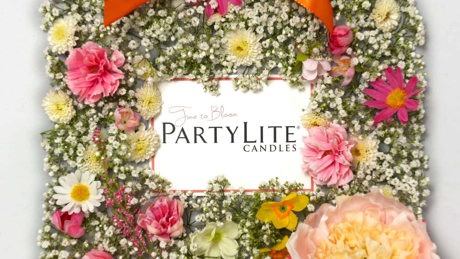 PARTYLITE 