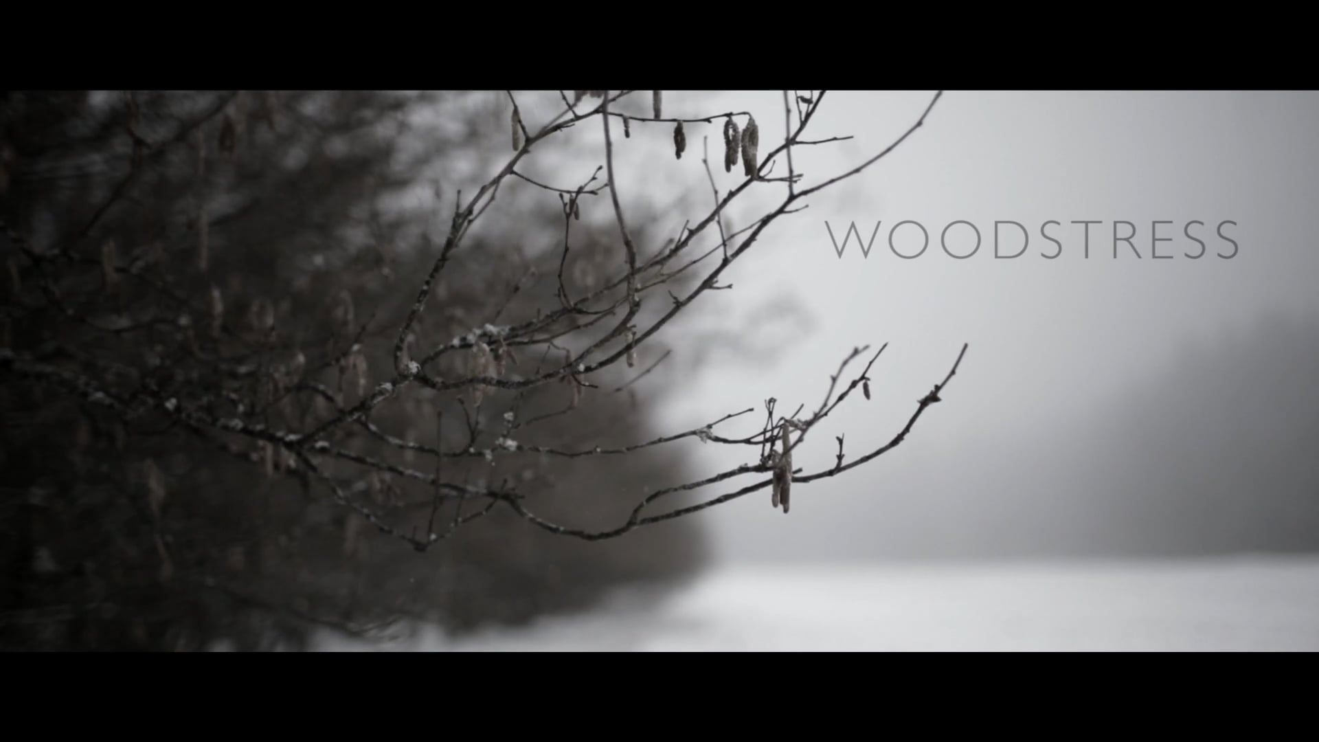 Woodstress (Laurent Vautrin, 2015)
