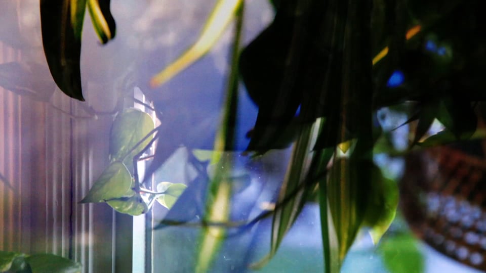 Poem