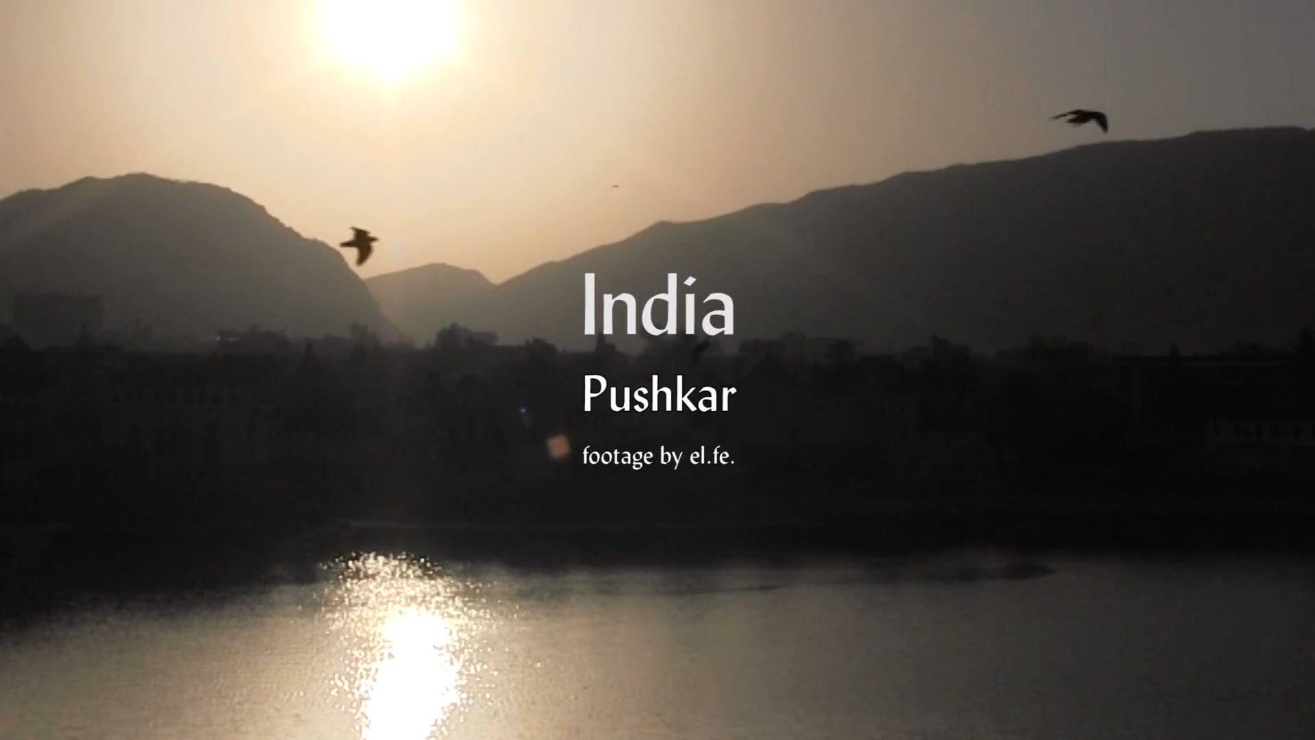 India. Pushkar. footage