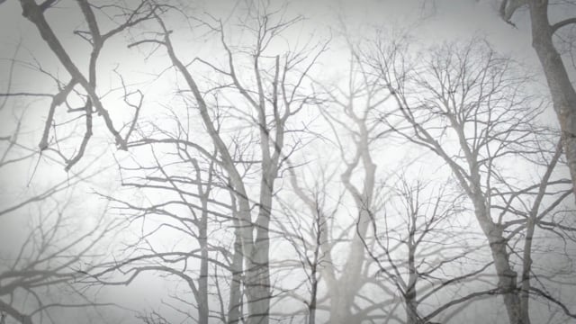 Vorschaubild: Klosterruine Wörschweiler