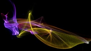 Ozog / Knysak- Ephemeral Interferences [Interactive Audio-Visual Performance]