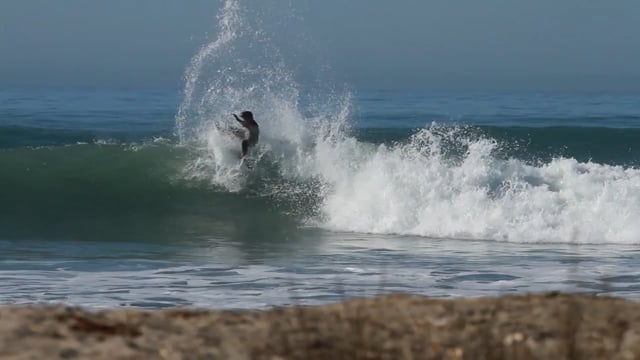 Short Round Surfboard byLost x Lib