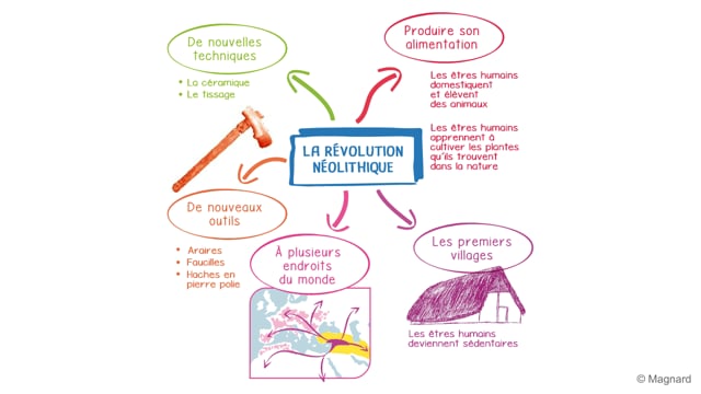 La révolution néolithique