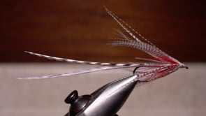 A fly vise holding a undefined after it is tied