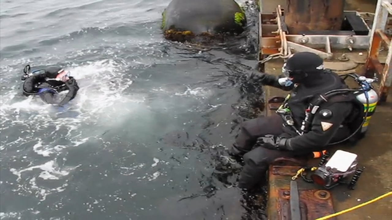 Seattle Seawall Enhancement Panel Survey on Vimeo