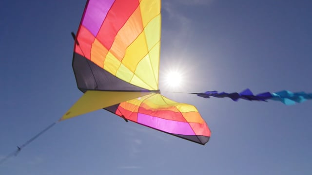 Fly a Kite! :15
