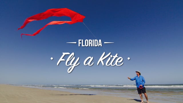 Fly a Kite! :60