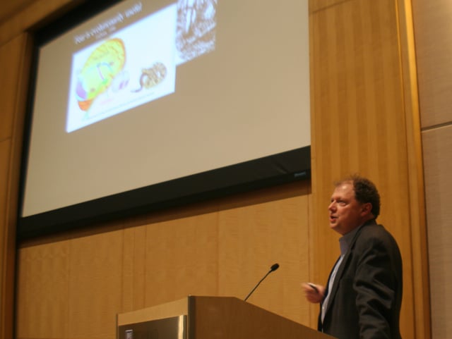 Poverty, Violence, and the Developing Mind on Vimeo