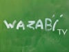 Wazabi Mag 3