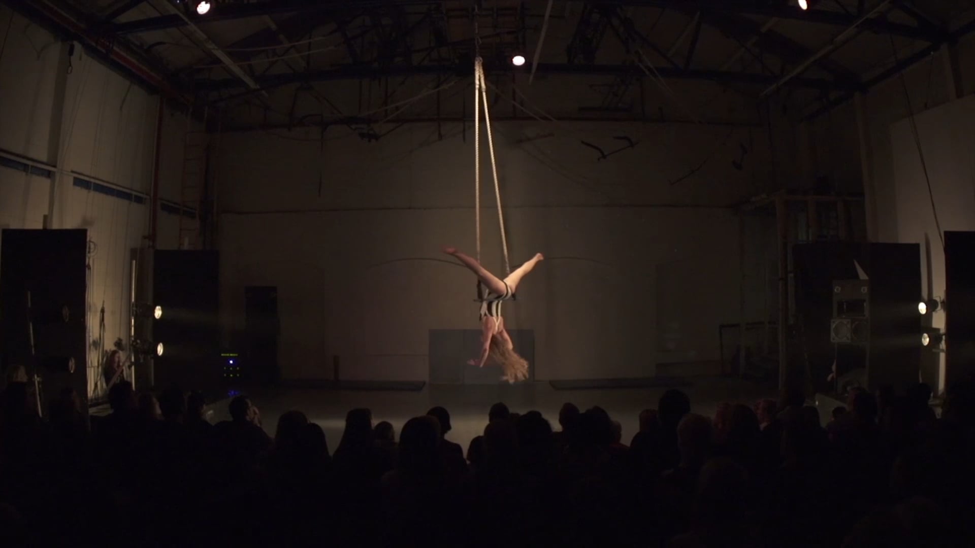 Dance trapeze