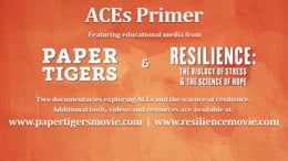 Adverse Childhood Experiences Study in a nutshell