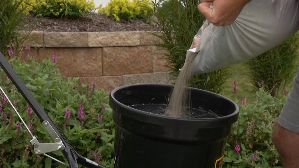 Tips from Toby Spring Lawn Catch Up