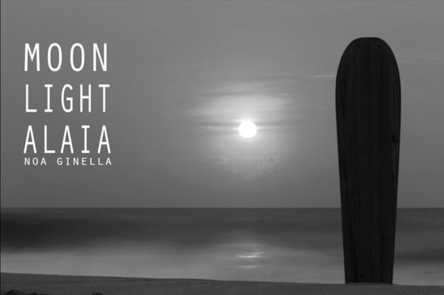 Moonlight Alaia from Noa Ginella