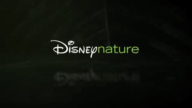 french voice over actor online for commercials, corporate, documentaries