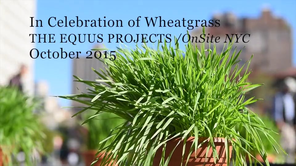 In Celebration of Wheatgrass OnSite NYC October 2015 on Vimeo